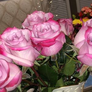 Meet your Posher, Kendall